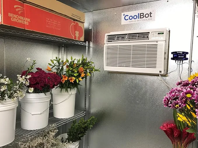 Inside a florist's cold room. A domestic window air conditioner is fitted through the insulated panel wall, and a small CoolBot controller is mounted on the wall beside it with its display lit. Buckets of cut flowers sit on wire shelving, and a cardboard carton rests on the top shelf.