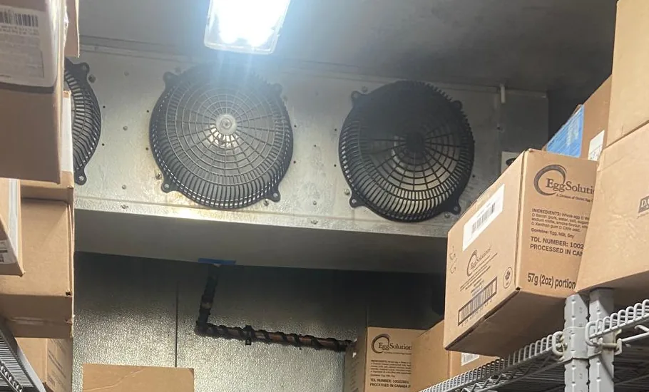Looking up at the evaporator inside a loaded walk-in. Three round fan guards are set into the unit below the ceiling, with conduit running down the rear wall beside it. Wire shelving stacked with cartons fills the foreground on both sides.