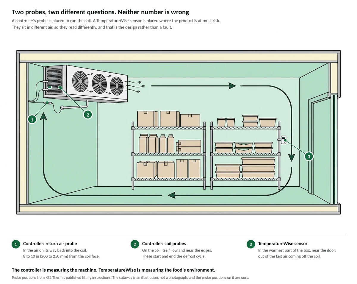 A cutaway of a walk-in cooler seen from the side. A commercial evaporator is mounted high on the left wall with three fans blowing air right along the ceiling, and arrows trace the air down the far wall, back along the floor and up into the coil. Three positions are numbered. One, the controller's return air probe, hangs in the air on its way back into the coil, 8 to 10 inches from the coil face. Two, the controller's coil probes, are clipped low on the coil itself near its edges. Three, a TemperatureWise sensor, is on a shelving upright near the door, in the warmest part of the box and out of the fast air coming off the coil.